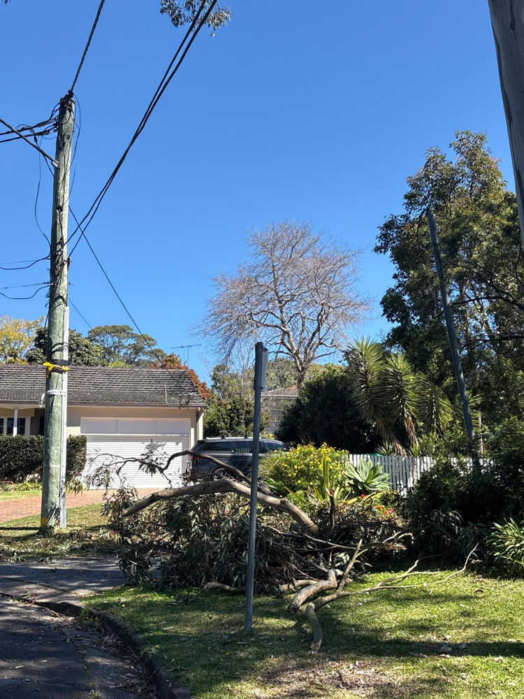 private pole repairs